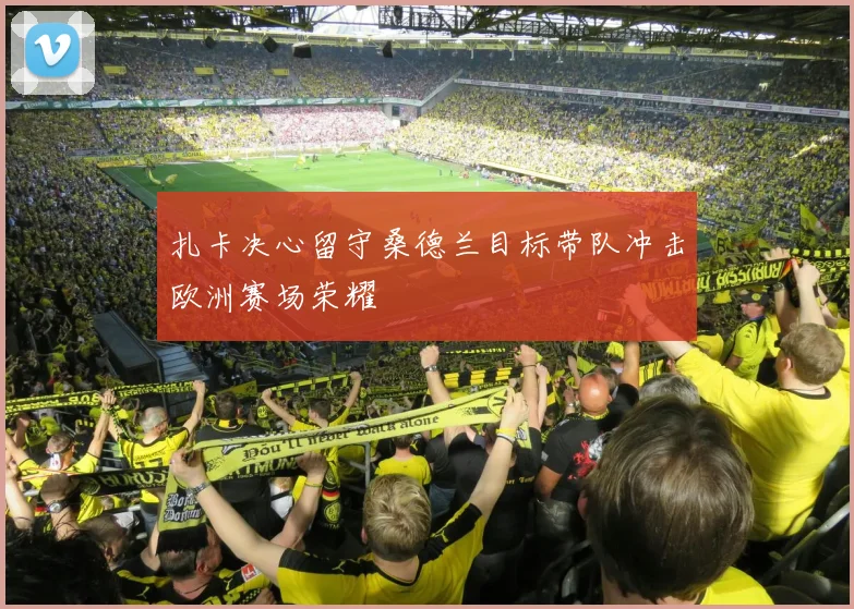 扎卡决心留守桑德兰目标带队冲击欧洲赛场荣耀