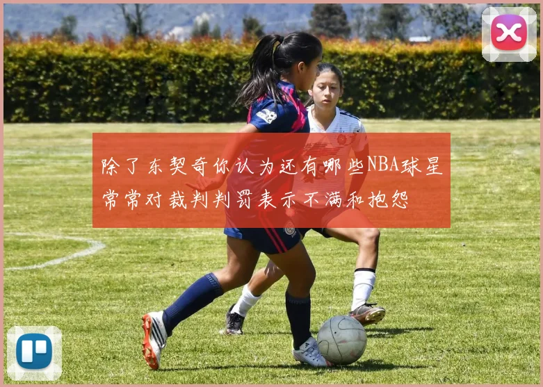 除了东契奇你认为还有哪些NBA球星常常对裁判判罚表示不满和抱怨